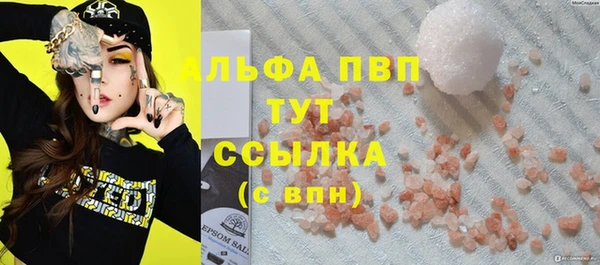СК Касимов