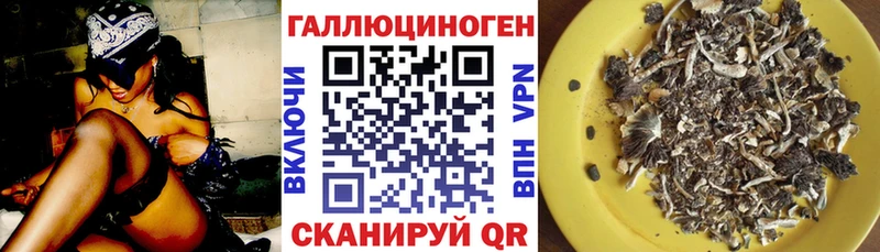 Галлюциногенные грибы прущие грибы что такое Ковдор